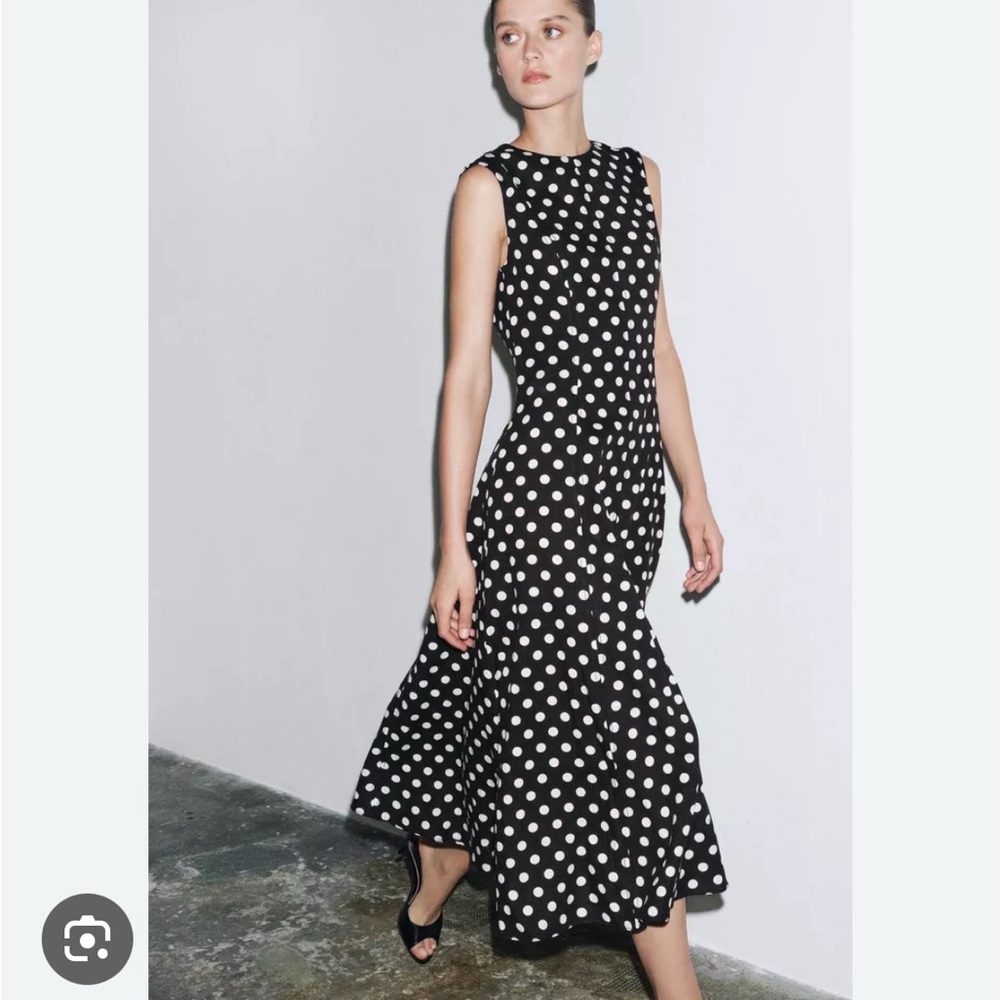 Zara Black and White Polka Dot Maxi Dress